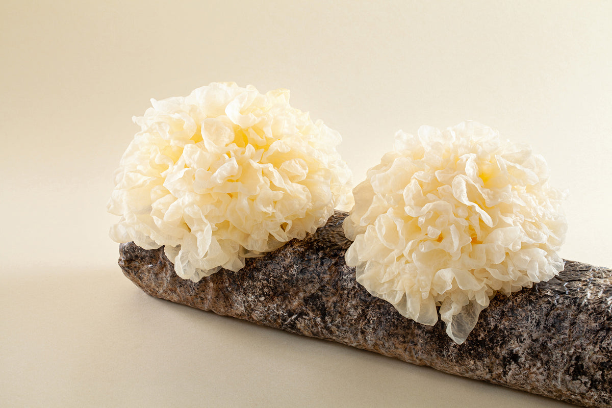 Organic Tremella Mushroom